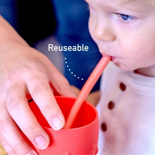 Silicone Straws & Brush Set (Set of 6 Straws)