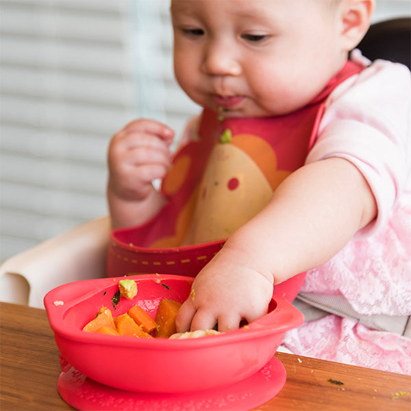 Marcus & Marcus suction bowl for baby led weaning and solid starts BPA Phthalate free promotes self feeding