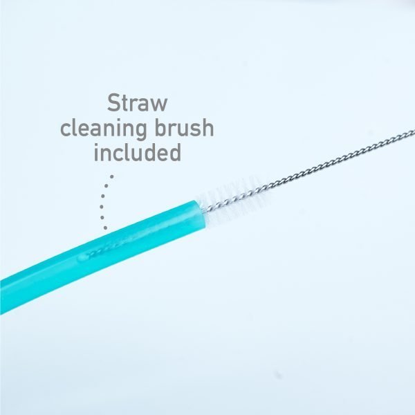 Silicone Straws & Brush Set (Set of 6 Straws)