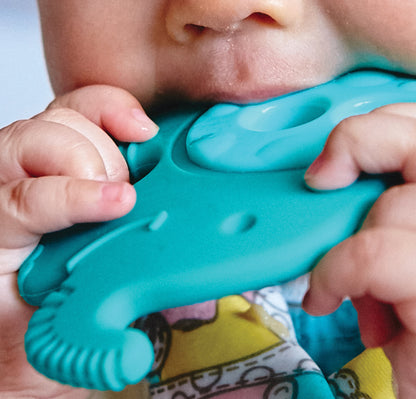 Infant Sensory Teether